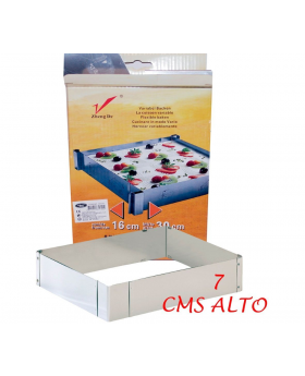 MOLDE METALICO RECTANGULAR/20