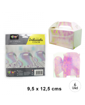 ST 6UN CAJA SORPRESA IRIDISCENTE/192