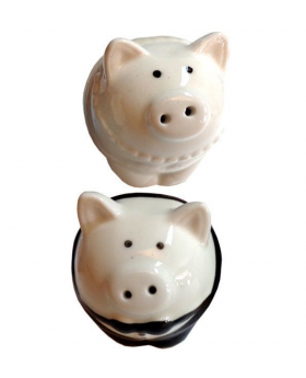 SOUVENIR CERDITO